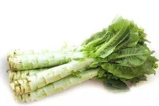莴笋是莴苣吗 莴苣照片