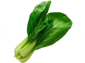 青菜大全 各种各样 蔬菜功效大全