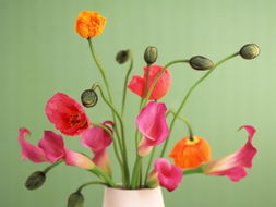 风铃花适合在室内养吗 风铃招鬼是真的吗