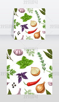 香草香料图片 香草的真正图片