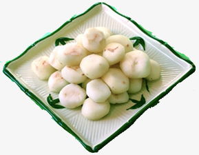 马蹄什么季节才有 为什么夏天有马蹄卖呢