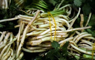 鱼腥草为什么被禁用 六种人不宜吃鱼腥草