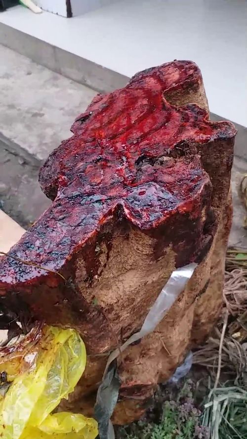 鸡血藤治什么病最好 鸡血藤的副作用太大了