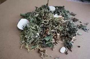 驱蚊的草药都有哪些 驱蚊香包的八种药材