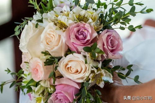 鲜花代表的花语大全 鲜花代表的含义