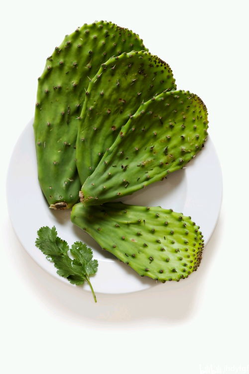 仙人掌果实的正确吃法 吃仙人掌果的禁忌