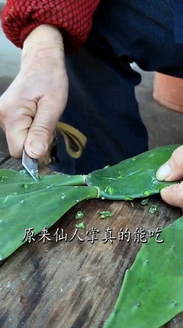 仙人掌一个月吃几次好 生吃仙人掌一次吃多少