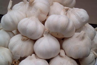 体内湿气重吃大蒜有什么好处 湿气重吃蒜能祛湿吗
