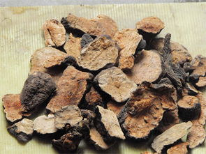 何首乌熬水洗头的危害 何首乌煮水正确洗头发