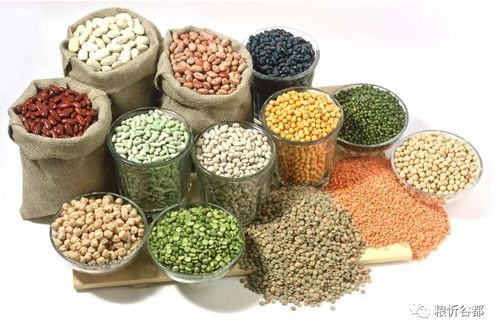 何为五谷杂粮 五谷具体是哪5种粮食