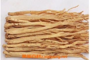党参的副作用 吃党参的注意事项