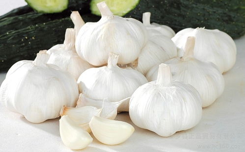 全国各地大蒜成熟时间 大蒜最佳收获时间