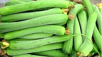 八月份种丝瓜晚不晚 丝瓜立秋为什么不能吃