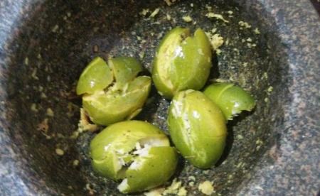 八月种姜什么时候收 八月种南姜好不好