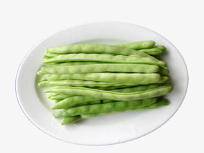 八月份种豇豆晚不晚 豇豆最晚几月份种