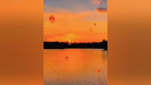 八月份是什么季节 8月份是夏天还是秋天