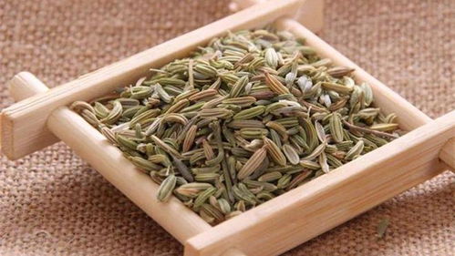 八角跟大茴香是一个吗 大茴香图片大全