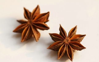 八角的副作用与禁忌 八角致癌是真的吗