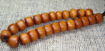 六道木对人的危害寓意 六道木为什么叫鬼见愁