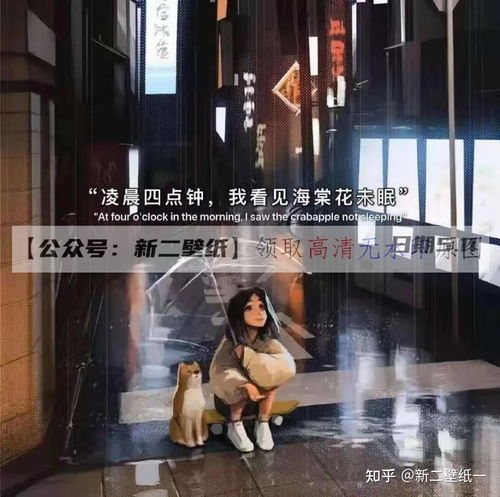 凌晨四点钟我看见海棠花未眠意思 女生发海棠花未眠暗示什么
