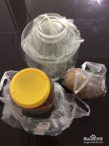 凉白开怎么做酸水 初次制作酸水怎么做