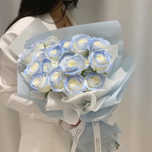 冰蓝玫瑰适合送什么人 冰蓝玫瑰送人禁忌