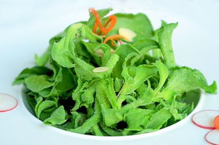 凉拌冰草要烫一下吗 冰草生吃有寄生虫吗