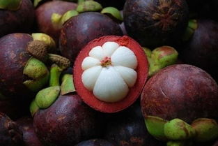 几月份的山竹最好吃 山竹一天最多吃几个