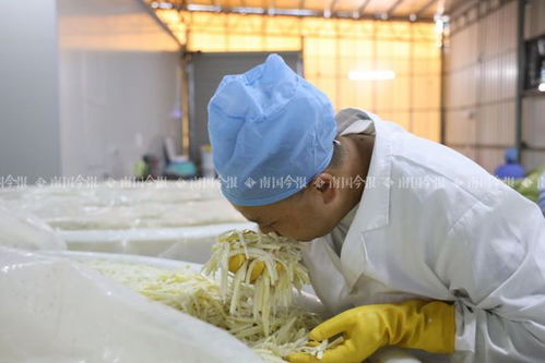 初次制作酸水加多少盐 第一次酸水引子怎么做