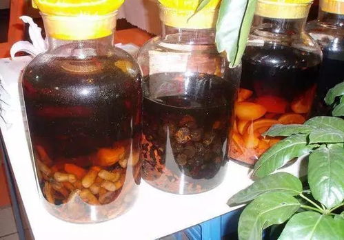 刺梨子泡酒的功效 什么泡酒让性功能最强
