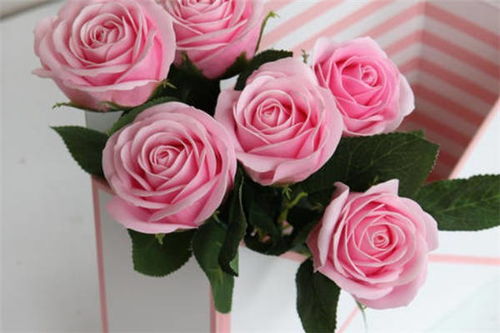 刚买回来的鲜花怎么醒花 醒花与不醒花的区别