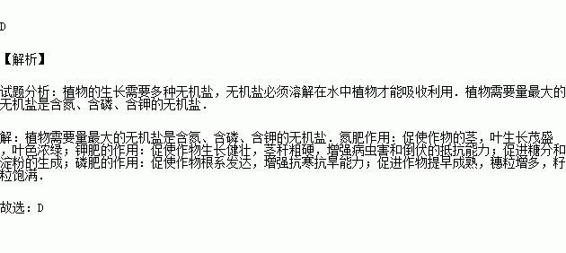 初中生物氮磷钾口诀 氮磷钾三字诀