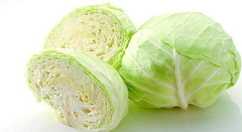 包菜是卷心菜的别名吗 怎样区分卷心菜和包菜