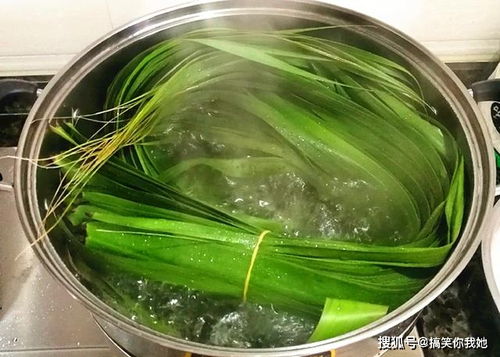 包粽子教程慢动作 一步一步教包粽子视频