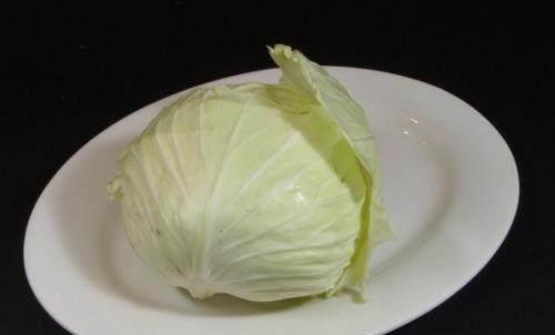 包菜的叫法有几种 包菜是哪里的叫法