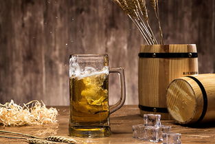 剩啤酒可以浇什么样子的花 十种最适合喝啤酒的花