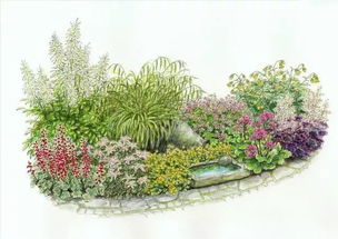 北方耐寒宿根花卉 北方最耐寒的十大漂亮花