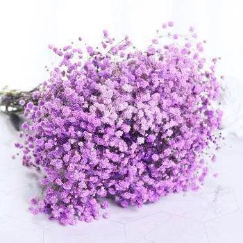 十一朵玫瑰加满天星代表什么意思 满天星加十一朵粉玫瑰花语