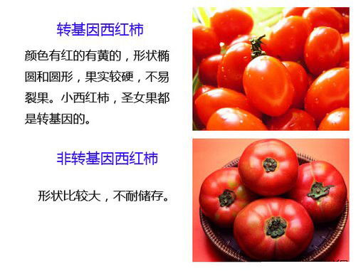 十大转基因蔬菜排名 中国转基因食品黑名单