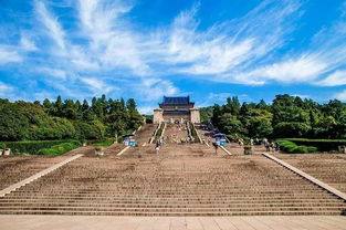 南京为什么多梧桐树 孙中山为谁种满了梧桐树