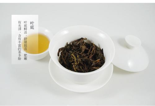 单丛茶是红茶还是绿茶 单丛茶是寒性还是温性