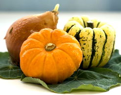 南瓜最晚几月份必须摘 南瓜老了摘的越晚越好吗