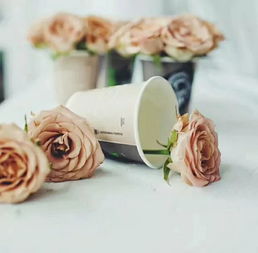 卡布奇诺玫瑰颜色 卡布奇诺的爱情含义