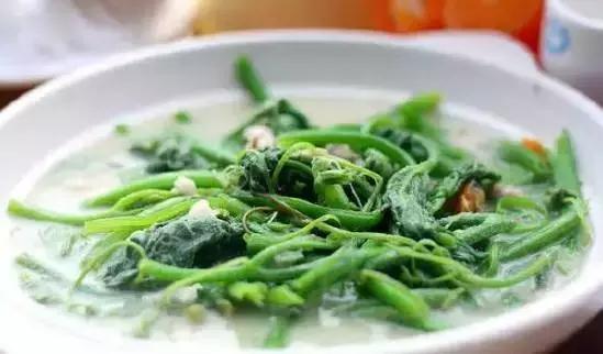 南瓜藤尖的营养价值 南瓜藤的十大功效