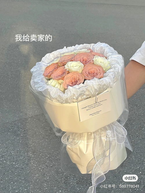 卡布奇诺玫瑰花 卡布奇诺花很贵吗