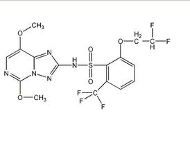 双氟磺草胺除什么草 双氟磺草胺禁忌