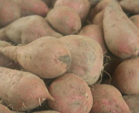 发芽的红薯怎么吃 红薯这样吃比砒霜还毒