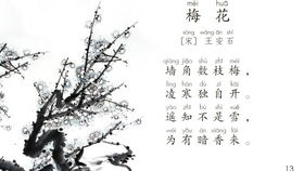 古诗《梅花》王安石的诗意 二年级上册《梅花》