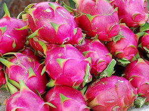 吃完火龙果千万别碰5种食物 火龙果10元5个真相