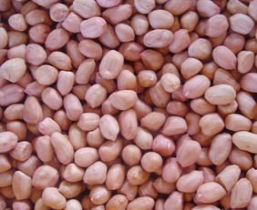 吃新鲜湿花生有好处吗 刚拔的新鲜花生功效